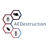 AE Destruction